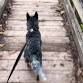 ACD monthly walk (Lake/Geauga area) event image