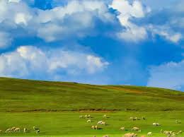 Tts Krasnaya Gorka附近10間最佳酒店-2026紅戈爾卡酒店推介