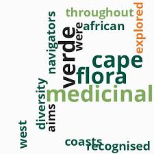 Image result for Chlorophytum burundiense