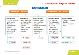 Now, we will look at the various parts of flowers in greater details. Plant Kingdom Classification Class 9 Pdf Five Kingdom Classification Of Plants And Animals