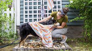How To Build A Fur Tastic Dog Washing Station Dog Washing Station Dog Wash Outdoor Dog
