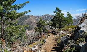 Table Mountain Campground Activities Things To Do Wrightwood Ca Wrightwood Table Mountain Best Campgrounds