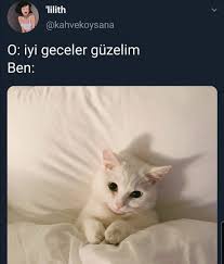 Pinar Kaymak Adli Kullanicinin Guzel Soz Panosundaki Pin 2020 Ilham Veren Sozler Resimli Alintilar Komik Kediler