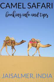 While the hippies have been largely understood as a cultural movement, often infantilised and satirised, they were also highly political. Camel Safari In Jaisalmer The Ultimate Checklist Hippie In Heels