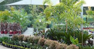 How to start a garden center business. Here We Explained About How To Start A Plant Nursery Business Indoor Green Plants Plant Nursery Garden Nursery