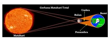 Dengan penjelasan lain, gerhana bulan muncul bila bulan sedang beroposisi dengan matahari. Mewarnai Gambar Sketsa Gerhana Matahari Total Terbaru Kataucap