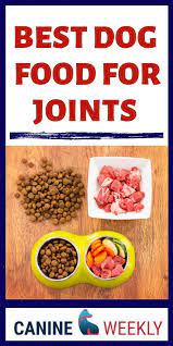 7 Best Dog Food For Arthritis And Joint Health In 2021 Dog Food Recipes Organic Dog Food Best Organic Dog Food