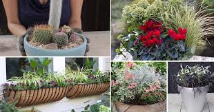 Maybe you would like to learn more about one of these? 23 Amazing Container Gardening Arrangements For Lazy Forgetful Busy Gardeners Balcony Garden Web