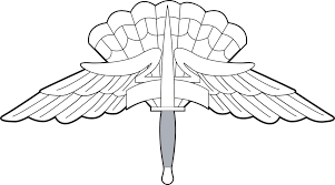 See a recent post on tumblr from @climbdraws about badge commission. Military Freefall Parachutist Badge Wikipedia