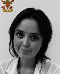 Can you help me find a notebook full of recipes?