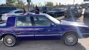 Image result for Midnight Blue 1991 Dynasty