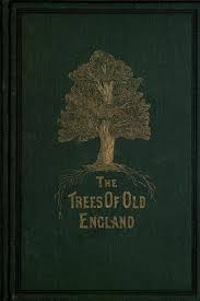 Leo H Grindon The Trees Of Old England London F Pitman 1870 Book Cover Art Vintage Book Covers Book Art