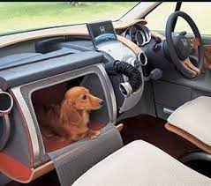 honda dog friendly concept car in japan dog car dog crate dog friends