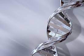 We help sales organizations get more new revenue through pinpointed hiring and changing sales behaviors. Hiring Sales People With The Right Sales Dna
