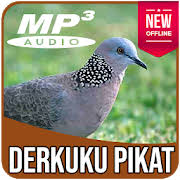 Burung ini adalah spesies merpati yang termasuk dalam. Apk Downloader Download Apk Files Directly From Google Play
