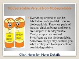 Biodegradable Versus Non Biodegradable