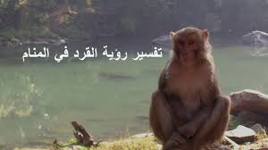 تفسير حلم القرد في المنام لابن سيرين : ØªÙØ³ÙŠØ± Ø§Ù„Ø§Ø­Ù„Ø§Ù… ØªÙØ³ÙŠØ± Ø±Ø¤ÙŠØ© Ø­Ù„Ù… Ø§Ù„Ù‚Ø±Ø¯ ÙÙŠ Ø§Ù„Ù…Ù†Ø§Ù… ØªÙØ³ÙŠØ± Ø±Ø¤ÙŠØ© Facebook