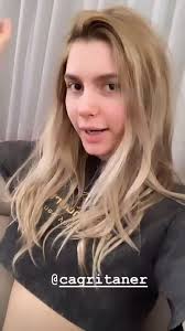 Aleynatilki Tilki