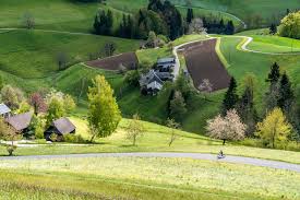 It differs from emmental in that it uses a cow's milk with more fat, which naturally sweetens the nutty, buttery flavor. Emmentaler Kaseroute Velotour Durchs Emmental Mit Dem E Bike Bern