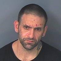 Deputies see, arrest wanted person while