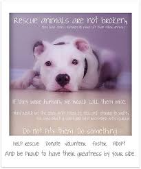 Welcome To My Care2 Animal Rescue Cute Baby Animals Animals