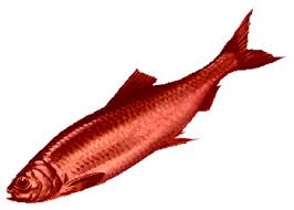 Virtual murdering mystery games red herring. Red Herring Tv Tropes