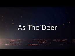 As The Deer Female Version With Lyrics Youtube In 2020 Spiritual Songs Lyrics Hymns Of Praise