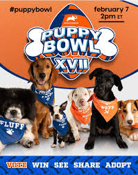 Stream puppy bowl free with your tv subscription! The Burn Annual Puppy Bowl Features A Dog From Leesburg The Burn