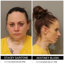 Deputies arrested two females suspected...
