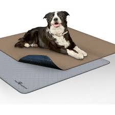 PAW INSPIRED Washable Dog Pee Pads, 41 x 41-in, 2 count, Unscented -  Chewy.com