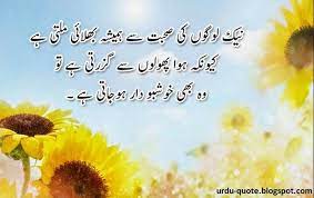  Inspirational Quote Islamic Images Urdu Quotes Funny Education Quotes