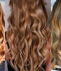 Matrix Dark Envy Green Shampoo Review — Today