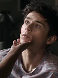 Will My Life with The Walter Boys