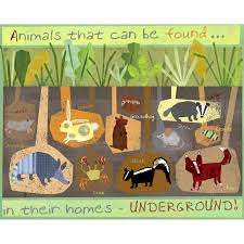 Oopsy Daisy Burrowing Animals Canvas Art Animal Canvas Art Animal Canvas Preschool Crafts