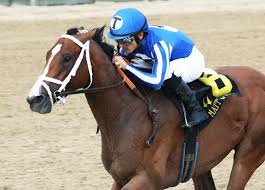 Mr Money Dominates In Matt Winnmr Money Dominates In Matt Winn