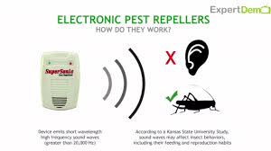 But do they really work? Supersonic Electronic Pest Control Replant Youtube