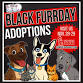 Black Furrday Adoption Extravaganza event image