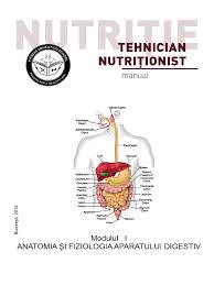 In humans, during times of low dietary intake, vitamin c is reabsorbed by the kidneys rather than excreted. Manual Pdf