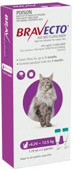 We did not find results for: Bravecto Spot On For Large Cats 6 25 12 5kg Pack Of 2 Tick And Flea Control