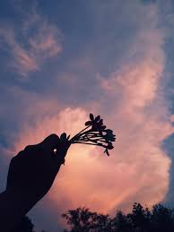 Gratis untuk komersial tidak perlu kredit bebas hak cipta. Pin By Ainy Sinthia On Photos Shadow Pictures Nature Photography Photography Wallpaper