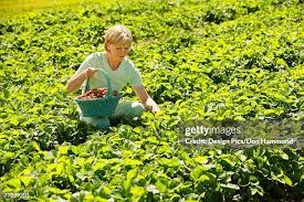 97 Don Creel Stock Photos, High-Res Pictures, and Images