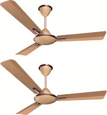 1200mm fan andria espresso brown. Crompton Aura 48 Inch Anti Dust High Speed Ceiling Fan Ceiling Fan Ceiling Fan Price Fan Price