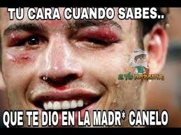 Turned in yet another disgraceful effort friday in phoenix, quitting after five rounds of his bout on dazn against former middleweight champion daniel jacobs. Los Memes De La Pelea Canelo Vs Chavez Jr Youtube