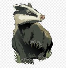 Bear Cartoon Png Download 700 911 Free Transparent Honey Badger Png Download Cleanpng Kisspng Business honey badger cartoon set. bear cartoon png download 700 911