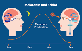 Wann melatonin eingenommen werden sollte ist jedoch fast immer gleich. Melatonin Wirkung Anwendung Dosierung Praktischarzt