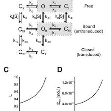 Gliclazide mylan decreases microthrombosis by two mechanisms which may be involved in complications of diabetes: Pdf Sulfonylurea Stimulation Of Insulin Secretion