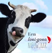 Grappige Nieuwjaarskaart Met Koe Nieuwjaar Grappig Koeien Verjaardag