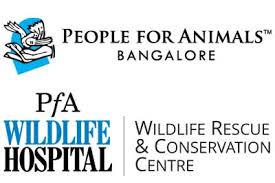 Pfa Clinic