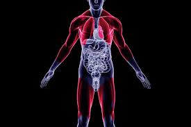 Image result for Muscular Dystrophy