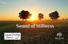 The Sound of Stillness